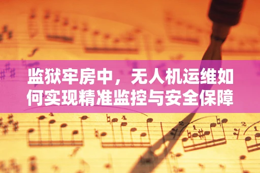 监狱牢房中，无人机运维如何实现精准监控与安全保障？