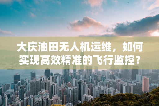 大庆油田无人机运维，如何实现高效精准的飞行监控？