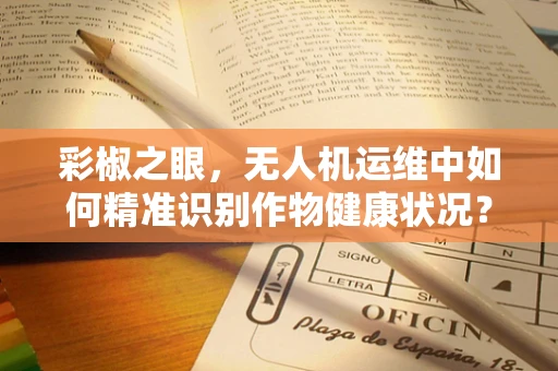 彩椒之眼，无人机运维中如何精准识别作物健康状况？