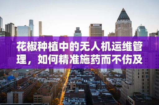 花椒种植中的无人机运维管理，如何精准施药而不伤及无辜？