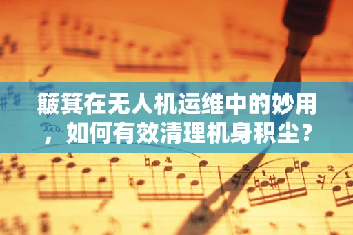 簸箕在无人机运维中的妙用，如何有效清理机身积尘？