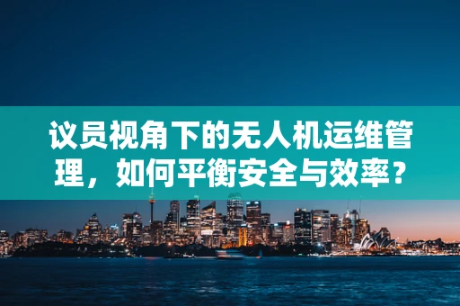 议员视角下的无人机运维管理，如何平衡安全与效率？