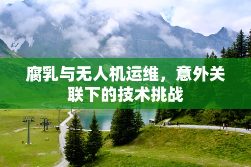 腐乳与无人机运维，意外关联下的技术挑战