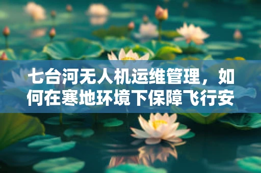 七台河无人机运维管理，如何在寒地环境下保障飞行安全？
