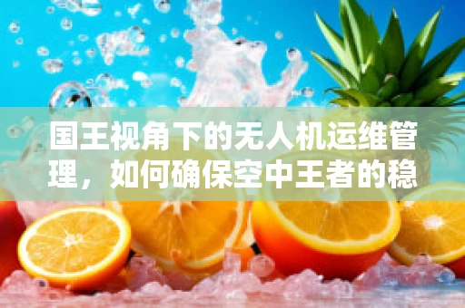 国王视角下的无人机运维管理，如何确保空中王者的稳健飞行？