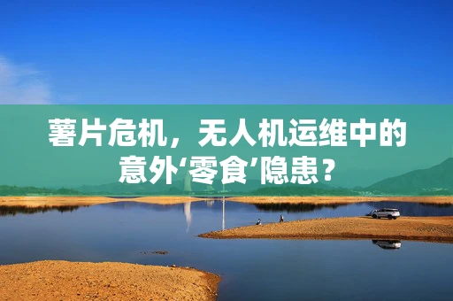 薯片危机，无人机运维中的意外‘零食’隐患？