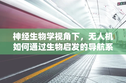 神经生物学视角下，无人机如何通过生物启发的导航系统提升运维效率？