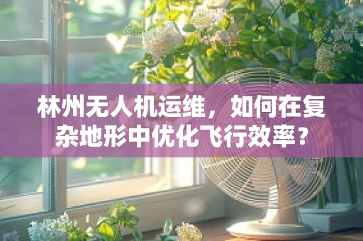 林州无人机运维，如何在复杂地形中优化飞行效率？