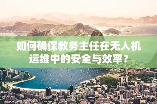 如何确保教务主任在无人机运维中的安全与效率？