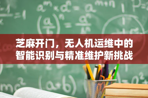 芝麻开门，无人机运维中的智能识别与精准维护新挑战？