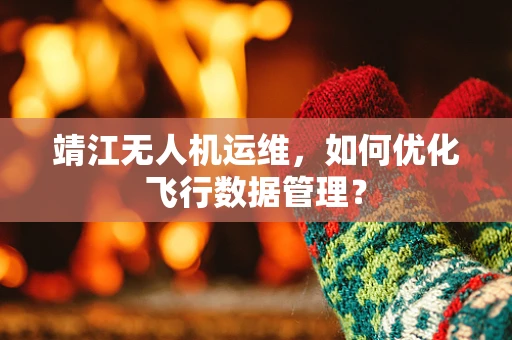 靖江无人机运维，如何优化飞行数据管理？