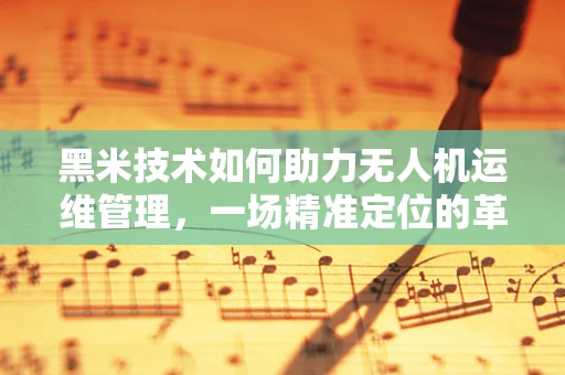 黑米技术如何助力无人机运维管理，一场精准定位的革命？