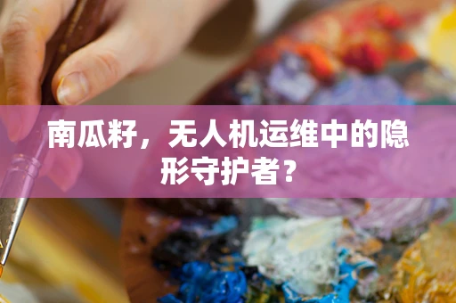 南瓜籽，无人机运维中的隐形守护者？