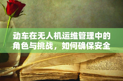 动车在无人机运维管理中的角色与挑战，如何确保安全与效率的平衡？