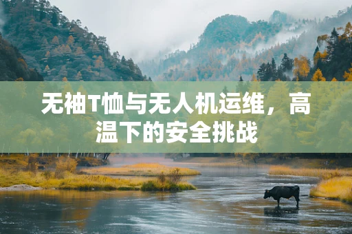 无袖T恤与无人机运维，高温下的安全挑战