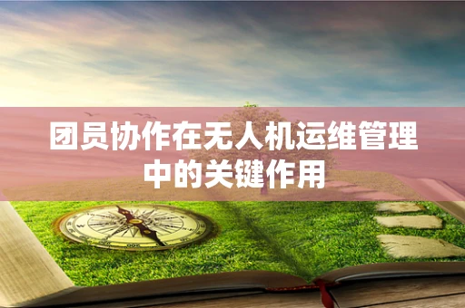 团员协作在无人机运维管理中的关键作用