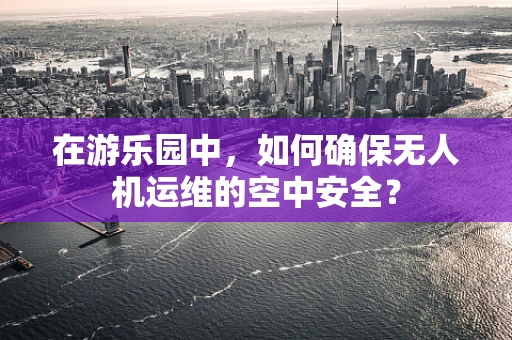 在游乐园中，如何确保无人机运维的空中安全？