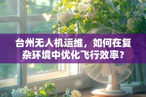 台州无人机运维，如何在复杂环境中优化飞行效率？