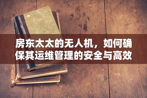 房东太太的无人机，如何确保其运维管理的安全与高效？