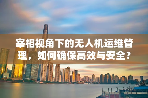 宰相视角下的无人机运维管理，如何确保高效与安全？