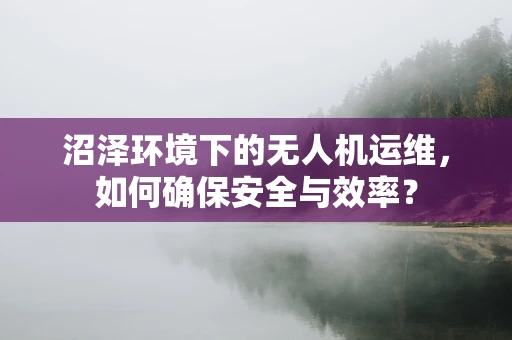 沼泽环境下的无人机运维，如何确保安全与效率？