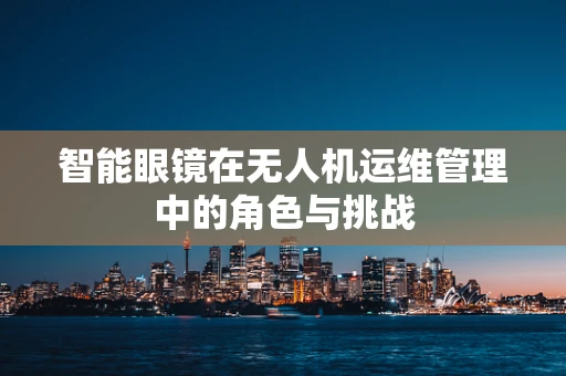 智能眼镜在无人机运维管理中的角色与挑战
