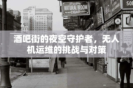 酒吧街的夜空守护者，无人机运维的挑战与对策
