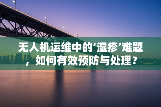 无人机运维中的‘湿疹’难题，如何有效预防与处理？