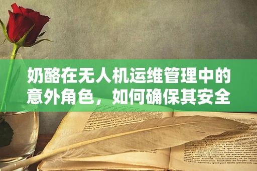 奶酪在无人机运维管理中的意外角色，如何确保其安全存储与使用？