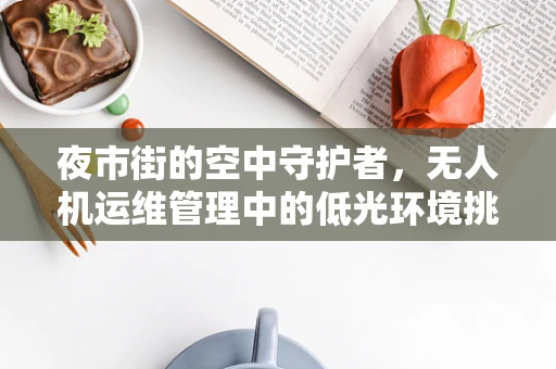 夜市街的空中守护者，无人机运维管理中的低光环境挑战