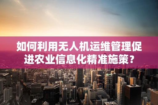 如何利用无人机运维管理促进农业信息化精准施策？