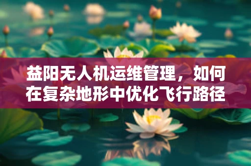 益阳无人机运维管理，如何在复杂地形中优化飞行路径？