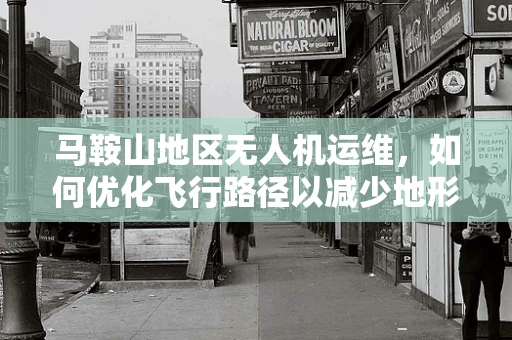 马鞍山地区无人机运维，如何优化飞行路径以减少地形干扰？