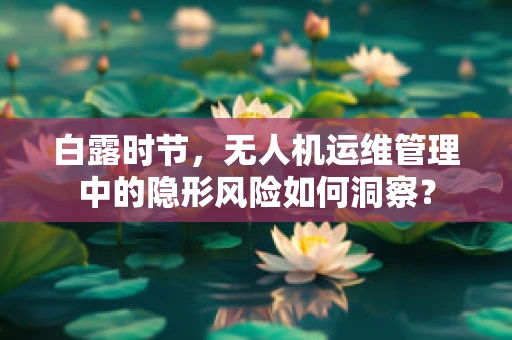 白露时节，无人机运维管理中的隐形风险如何洞察？