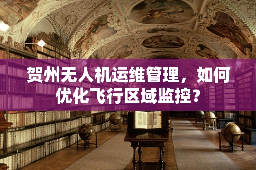 贺州无人机运维管理，如何优化飞行区域监控？