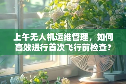 上午无人机运维管理，如何高效进行首次飞行前检查？