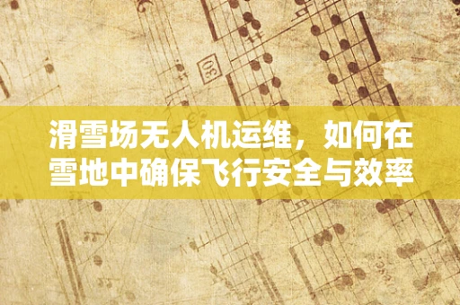 滑雪场无人机运维，如何在雪地中确保飞行安全与效率？