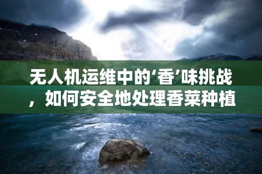 无人机运维中的‘香’味挑战，如何安全地处理香菜种植区的航拍任务？