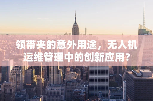 领带夹的意外用途，无人机运维管理中的创新应用？