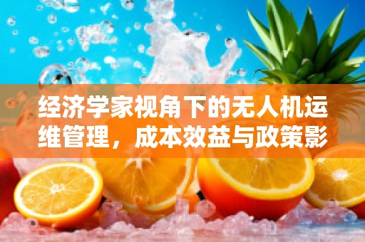 经济学家视角下的无人机运维管理，成本效益与政策影响