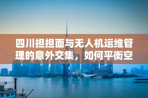 四川担担面与无人机运维管理的意外交集，如何平衡空中美食与飞行安全？