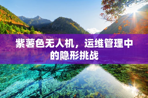 紫薯色无人机，运维管理中的隐形挑战