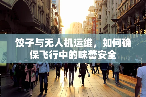 饺子与无人机运维，如何确保飞行中的味蕾安全
