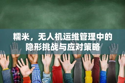 糯米，无人机运维管理中的隐形挑战与应对策略