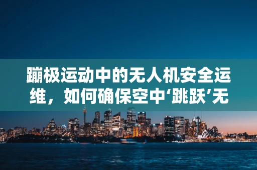 蹦极运动中的无人机安全运维，如何确保空中‘跳跃’无忧？