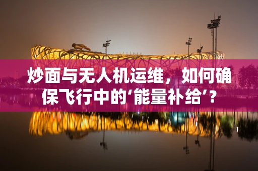 炒面与无人机运维，如何确保飞行中的‘能量补给’？
