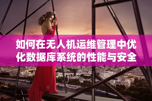 如何在无人机运维管理中优化数据库系统的性能与安全？