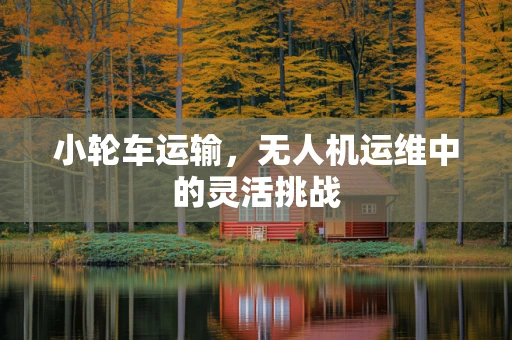 小轮车运输，无人机运维中的灵活挑战
