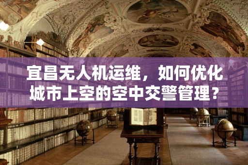 宜昌无人机运维，如何优化城市上空的空中交警管理？