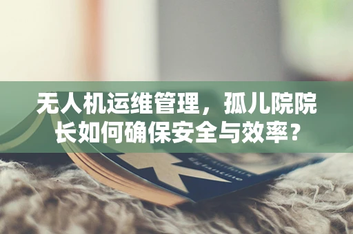 无人机运维管理，孤儿院院长如何确保安全与效率？
